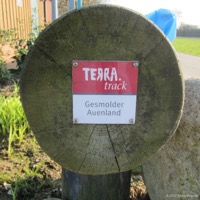 bifurkation_gesmold_02