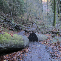 geo_erlebnis_welzheim_10