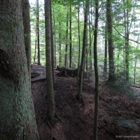 herrenbachtal_02