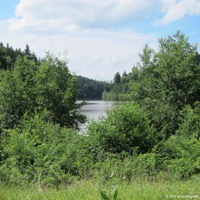 herrenbachtal_06