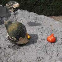 kuerbisausstellung_03