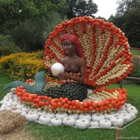 kuerbisausstellung_06