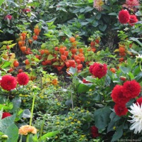 naturagart_04