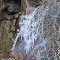 naturagart_12