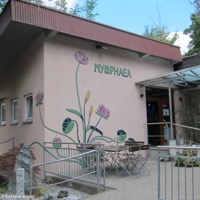 nymphaea_01