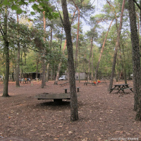 saerbeck_02