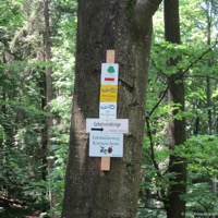 schelmenklinge_02
