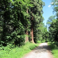 schelmenklinge_03