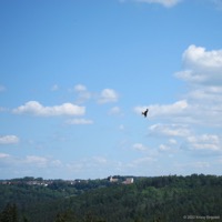 schelmenklinge_04