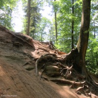 schelmenklinge_09
