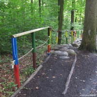 walderlebnis_bad_iburg_04