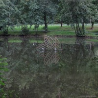 walderlebnis_bad_iburg_05