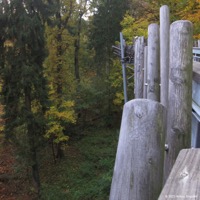 walderlebnis_bad_iburg_11
