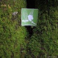 waldfee_grab_01
