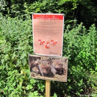 waldfee_rudersberg_01