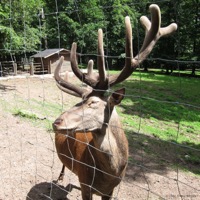 wildparadies_tripsdrill_07