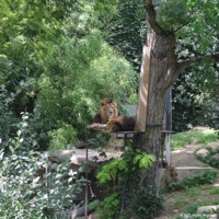 wilhelma_03